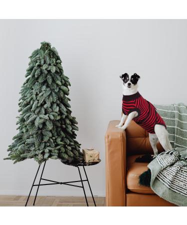 Kuoser Dog Recovery Suit for Male Dogs - Breathable Post-Op Body with Leakage Protection | Anti-Licking & Wound Care - XS Red Striped (1 Pack) - Buy Online on GoSupps.com