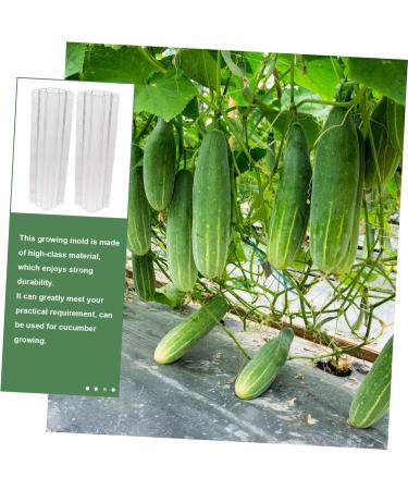 Kisangel 2pcs Vegetable Shaping Mold Plastic Fruit Flower Shaped Cucumber Molds Fruit Mold Picking Garden - Buy Online on GoSupps.com