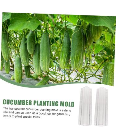 VANZACK Garden Fruit Mould 2pcs Vegetable Shaping Vegetables Flower Shaped Cucumber Molds Fruit Molds Modeling - Buy Online on GoSupps.com