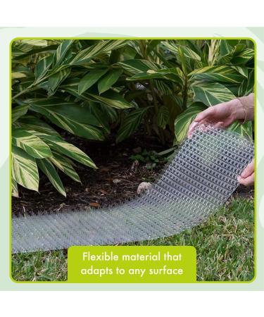 Homarden Cat Deterrent Outdoor Mat - Spike Training Devices for Cats and Dogs - Indoor/Outdoor Plastic Mats - 16 x 13 Inches (6 Pack) - Buy Online on GoSupps.com
