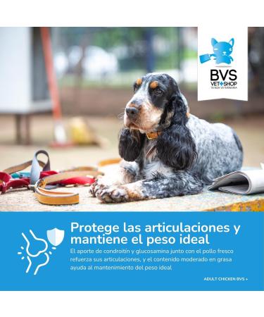 BARAKALDOVET Alimento Adult Chicken Barakaldo Vet Shop - 3 kg - Buy Online on GoSupps.com