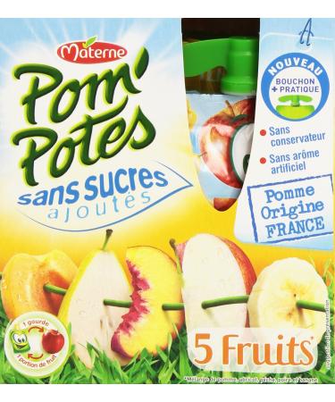 Materne Pom'Potes Gourds 5 Fruits Apple & Yellow Fruits without Added Sugar 4 x 90 g - 360 g - Pack of 6