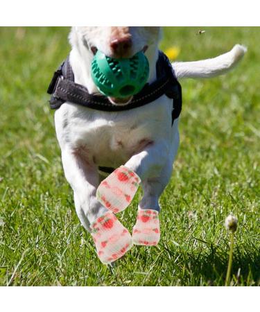 HANABASS Self Adhesive Bandages Wrap - 3 Rolls Non-Woven Breathable Vet Wrap for Dog Protection | International Shipping Available - Buy Online on GoSupps.com