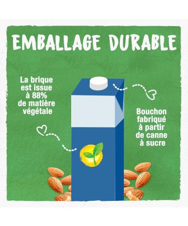 BJORG - Almond Milk Without Added Sugar - Organic Vegetable Milk - Low in Saturated Fats - Brick 1 Liter - Buy Online on GoSupps.com