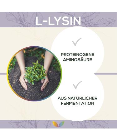 L-Lysine Powder 500g | Vegan Protinogenic Amino Acid | 100% Pure HCl | Boost Collagen Production | Laboratory Tested | Quality from Austria - Buy Online on GoSupps.com
