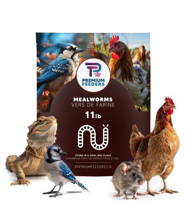 11lb Dried Mealworms by Premium Feeders Approx 175000+ Dried Mealworms - Chicken & Bird Feed - Meal Worms Treats - High Protein Mealworm for Chickens Wild Birds Hens & Small Animals - 5KG