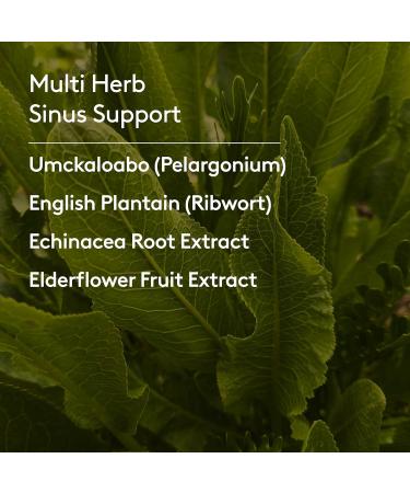 Harker Herbals Children's Ear Nose & Throat Syrup, Herbal Formula for Sinuses & Seasonal Wellness Includes Echinacea, Pelargonium & Elderflower, Plant-Based - 5.1 Fl oz (30 Servings) - Buy Online on GoSupps.com