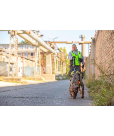 Julius-K9 Mantrailing & Outdoor Dog Harness S Size - Black | International Shipping Available - Buy Online on GoSupps.com