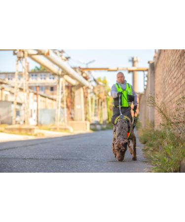 Julius K9 Mantrailing & Outdoor Dog Harness - Size L-XL - UV Orange with Neon Edge for Large Dogs - International Shipping Available - Buy Online on GoSupps.com