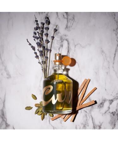 Curve Men's Cologne Fragrance Set Body Wash Aftershave Balm & Cologne Casual Day or Night Scent Father's Day 3 Piece Gift Set Spicy 11 Fl Oz (Pack of 1) - Buy Online on GoSupps.com