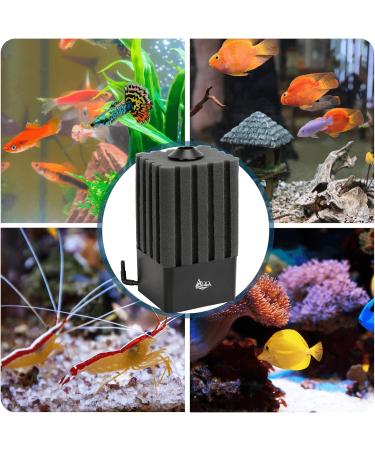 AQQA Quiet Aquarium Sponge Filter - Optimal Biological & Mechanical Filtration for 30-250L Aquariums - Buy Online on GoSupps.com