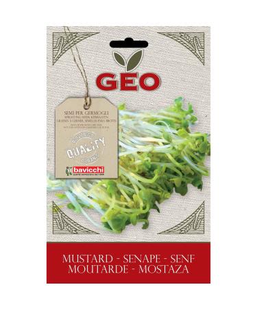 Organic mustard seeds for germination 50g