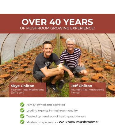 Real Mushrooms Reishi Mushroom Extract - 45 Servings, Vegan, Organic, Non-GMO Powder for Longevity & Relaxation - Buy Online on GoSupps.com