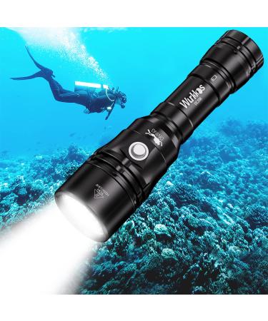 GoZebra Diving Flashlight, D20 3200 Lumen Scuba Dive Light, Rechargeable Diving Lights Underwater Waterproof Flashlight with Hidden USB C Charging Port for Under Water Deep Sea Cave