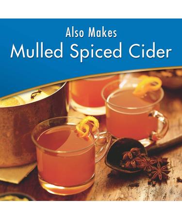 Alpine Sugar Free Spiced Apple Cider Instant Drink Mix - 1.4 oz Pouches (Pack of 12) - Buy Online on GoSupps.com