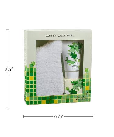 Spa Bath Gift Basket - Cucumber Melon Fragrance - Luxury Body Set with Lotion, Bath Salts, Cozy Socks - At-Home Self Care Kit for Women - Buy Online on GoSupps.com