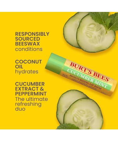 Burts Bees Freshly Picked Moisturizing Lip Balm Blister Pack for Unisex 4 x 0.15 oz Lip Balm Watermelon Sweet Mandarin Beeswax Cucumber Mint Multi-Color Freshly 1 count (Pack of 4) - Buy Online on GoSupps.com