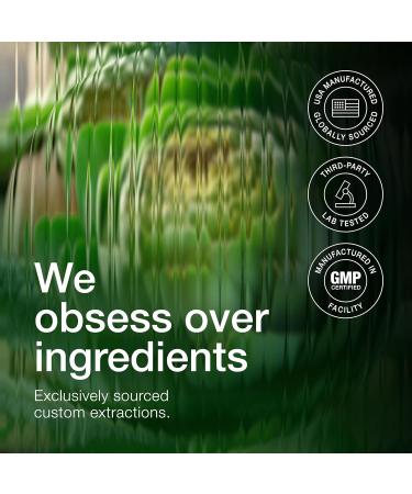 Artichoke Extract 15:1 with 5% Cynarin (60 mg) 120 Vegan Capsules Liver & Digestive Support - Lab Tested - Non-GMO 120 Count (Pack of 1) - Buy Online on GoSupps.com