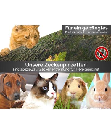 Premium Stainless Steel Tweezers with Magnifying Glass Point - Precision Eyebrow & Craft Tool for International Shipping - Buy Online on GoSupps.com