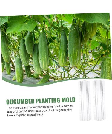 Toddmomy Horticulture 12 Pcs Vegetable Shaping Mold Mushroom Flower Shape Cucumber Molds - Buy Online on GoSupps.com