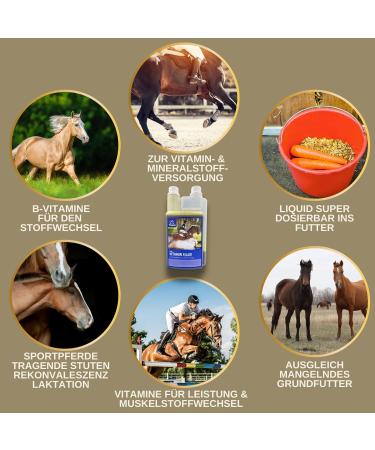 Horses Vitamins + Booster I Mineral Food for Horses Liquid I Vitamin E B Complex B12 Iron Selenium Zinc Horse I Vitamin B1 B6 Strengthen the Immune System Replenishing Food 1L 30 ml - Buy Online on GoSupps.com