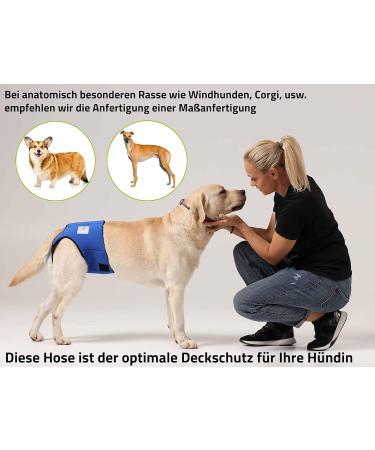 Nature PET - 2.0 Funeral Pants for Dogs | Soft & Hygienic Dog Diapers for Male Incontinence (XS-L) - Black (1 Pack) - Buy Online on GoSupps.com