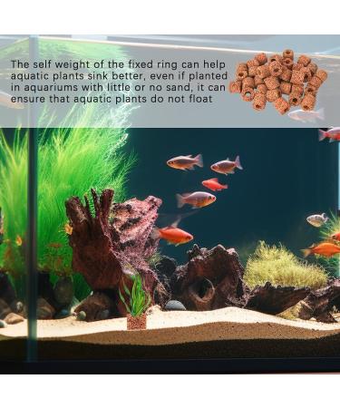 OnkuJLPST Solid Rings for Aquatic Plants - Heavy-Duty Aquarium Flower Pot Holders | Anti-Swimming Landscape Solutions - Buy Online on GoSupps.com