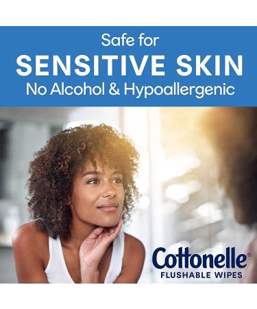 Cottonelle Fresh Care On-the-Go Flushable Wet Wipes - 336 Total Wipes, Adult Wet Wipes, 24 Resealable Packs - Buy Online on GoSupps.com