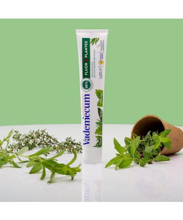 Dentifrice Fluor et Plantes | Naturel Efficace & Exp dition Internationale - Buy Online on GoSupps.com