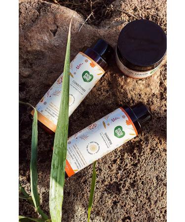 ecoLove Natural Conditioner for Dry & Color Treated Hair | Vegan, SLS & Paraben Free | 17.6 oz Carrot, Pumpkin & Sweet Potato - Buy Online on GoSupps.com