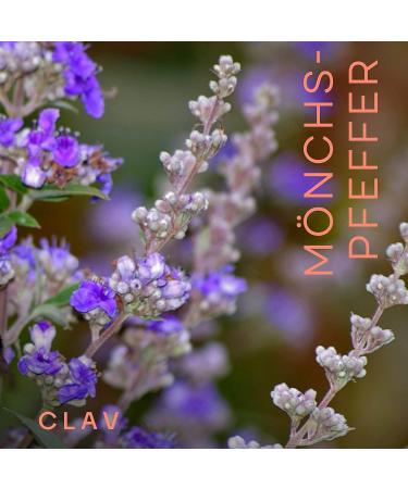 High-Dose Monk Pepper (Agnus Castus) - 4:1 Extract 10mg per Capsule 180 Vegan Capsules - Women's Dietary Supplement - Buy Online on GoSupps.com