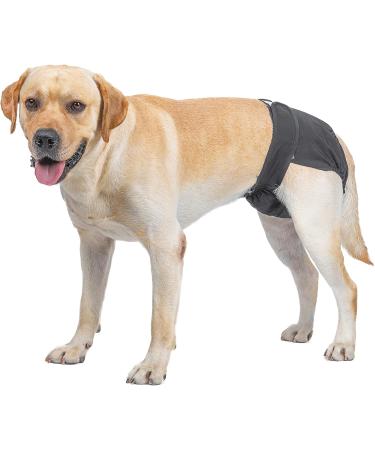 Petmia Washable Dog Diapers | Hygiene Underpants for Dogs in Heat | Sizes XS-XL | Black (S: 30-45cm) - Buy Online on GoSupps.com