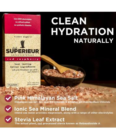 Superieur Electrolyte Powder Packets - Vegan Hydration Powder with Sea Minerals - Keto Friendly, Non-GMO, Zero Sugar Supplement - Raspberry Flavor (14 Packets) - Buy Online on GoSupps.com