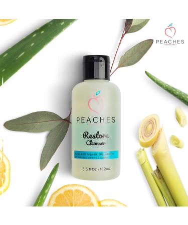 Vegan Face Cleanser 5.5 oz - Post-Workout Wash with Gotu Kola Lemongrass & Eucalyptus - International Shipping Available - Buy Online on GoSupps.com