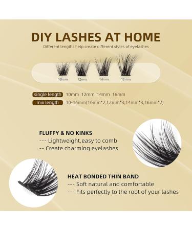 120 Clusters D Curl Wide Stem Individual Cluster Lashes 10-16mm DIY Eyelash Extension - Soft Fluffy False Lashes - W06# (10mm-16mm) MIX - Buy Online on GoSupps.com