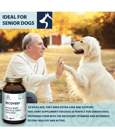 PURICA Pet Recovery Powder - 350g Dog Joint and Hip Supplement Joint Care for Enhanced Mobility & Comfort - Buy Online on GoSupps.com