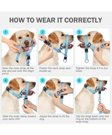 Weesiber Soft Dog Collar - Adjustable Padded Halter with Reflective Safety Strips for Small Dogs | No Pulling Perfect for Training & Walking (Blue) - Buy Online on GoSupps.com
