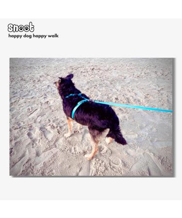 5m Dog Leash Towline - Stable Hand Loop Water & Dirt Repellent for Strong Dogs - Cyan Blue - Buy Online on GoSupps.com