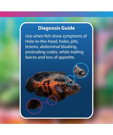 NT Labs Octozin Hole in the Head & Bloat Treatment - Treats Aquarium Fish with Bloat - 250ml - treats 3 day course of 375L - Buy Online on GoSupps.com