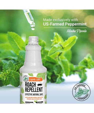 Mighty Mint 16oz Natural Peppermint Oil Spray - Cockroach Repellent - Buy Online on GoSupps.com