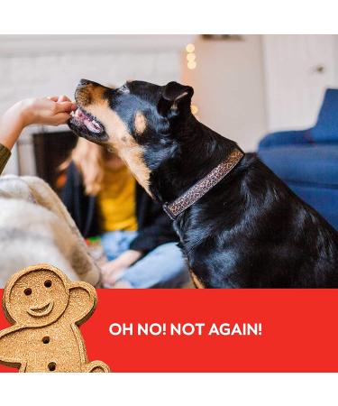 Buddy Biscuits Grain-Free Dog Treats - Soft Grilled Beef (5oz) | Healthy, USA-Made, No Wheat, Corn, or Soy - Buy Online on GoSupps.com