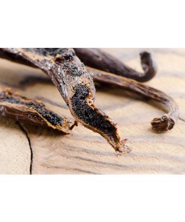 Ladybug Spot Natural Solid Cologne With Sandalwood Note & Amber Note Infused with Essential Oils for Men & Woman 1/4 OZ Sample Size (Palo Santo) - Buy Online on GoSupps.com