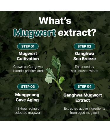Dr.twentyproject 9 Toner - Soothing Moisturizing Sebum Control with Mugwort Extract for Sensitive Dry Oily Skin Reduces Redness Whiteheads Blackheads - Korean Skin Care (300ml / 10.14 fl.oz) - Buy Online on GoSupps.com