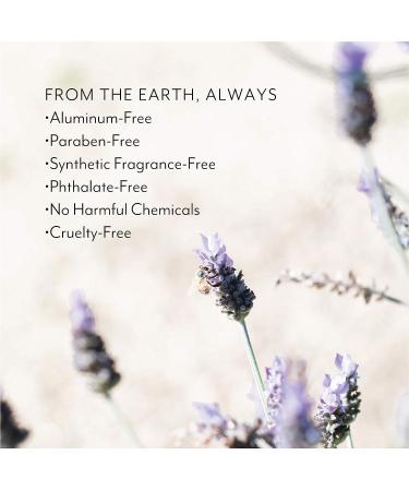 Noniko Natural Deodorant - Aluminum & Paraben-Free for Men & Women - Long-Lasting Lavender Ylang Scent - Cruelty-Free Formula - Buy Online on GoSupps.com