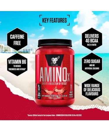 BSN Nutrition Amino X Supplement with Vitamin D Vitamin B6 and Amino Acids Fruit Punch Flavour 70 Servings 1 kg Fruit Punch 70 Servings (Pack of 1) - Buy Online on GoSupps.com