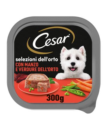 Cesar SALT. Orto Manzo and Worm - 6000 g