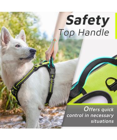 Buy Eagloo Medium Dog Harness - Adjustable Durable Anti- Pull with Reflex Strips for Walking & Jogging - Green M (1 Pack) - International Shipping Available - Buy Online on GoSupps.com