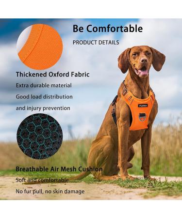 Funfox Dog Harness for Small & Medium Dogs - No Pull Adjustable Breathable Safety Harness in Orange - Buy Online on GoSupps.com