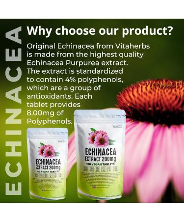 Vitaherbs Echinacea Tablets 200mg - Vegan, Premium Quality - Made in the UK | 100 Count (Pack of 1) - Buy Online on GoSupps.com