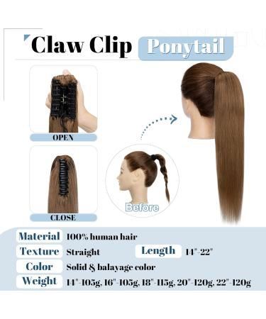 14 inch SEGO Claw on Ponytail Clip in Human Hair Extensions #6 Light Brown One Piece 100% Real Remy Hairpieces Straight (105g) 14 Inch #6 Light Brown - Buy Online on GoSupps.com